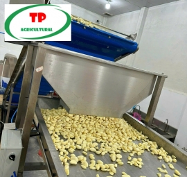 Cung cấp củ năng gọt vỏ , tỏi bóc vỏ , củ gừng gọt vỏ , củ hành bóc vỏ số lượng lớn tại TP.HCM giá rẻ và chất lượng