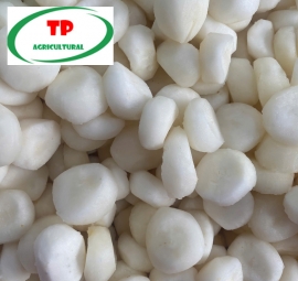 Củ năng gọt- Bán sỉ củ năng gọt sẵn tại HCM