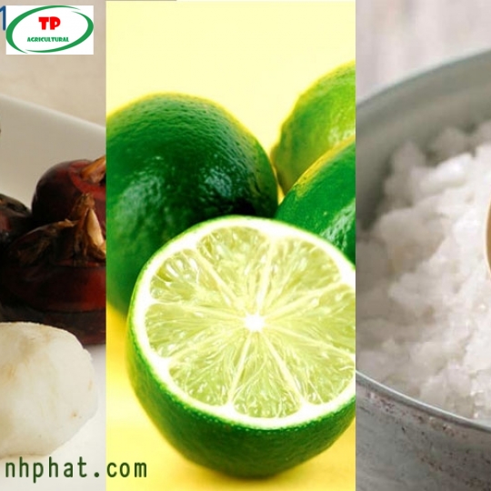 CỦ NĂNG GỌT VỎ VÀ  CÔNG DỤNG